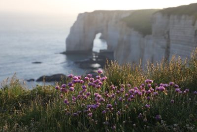 Le top 5 des régions dans lequelles ouvrir des chambres d’hôtes