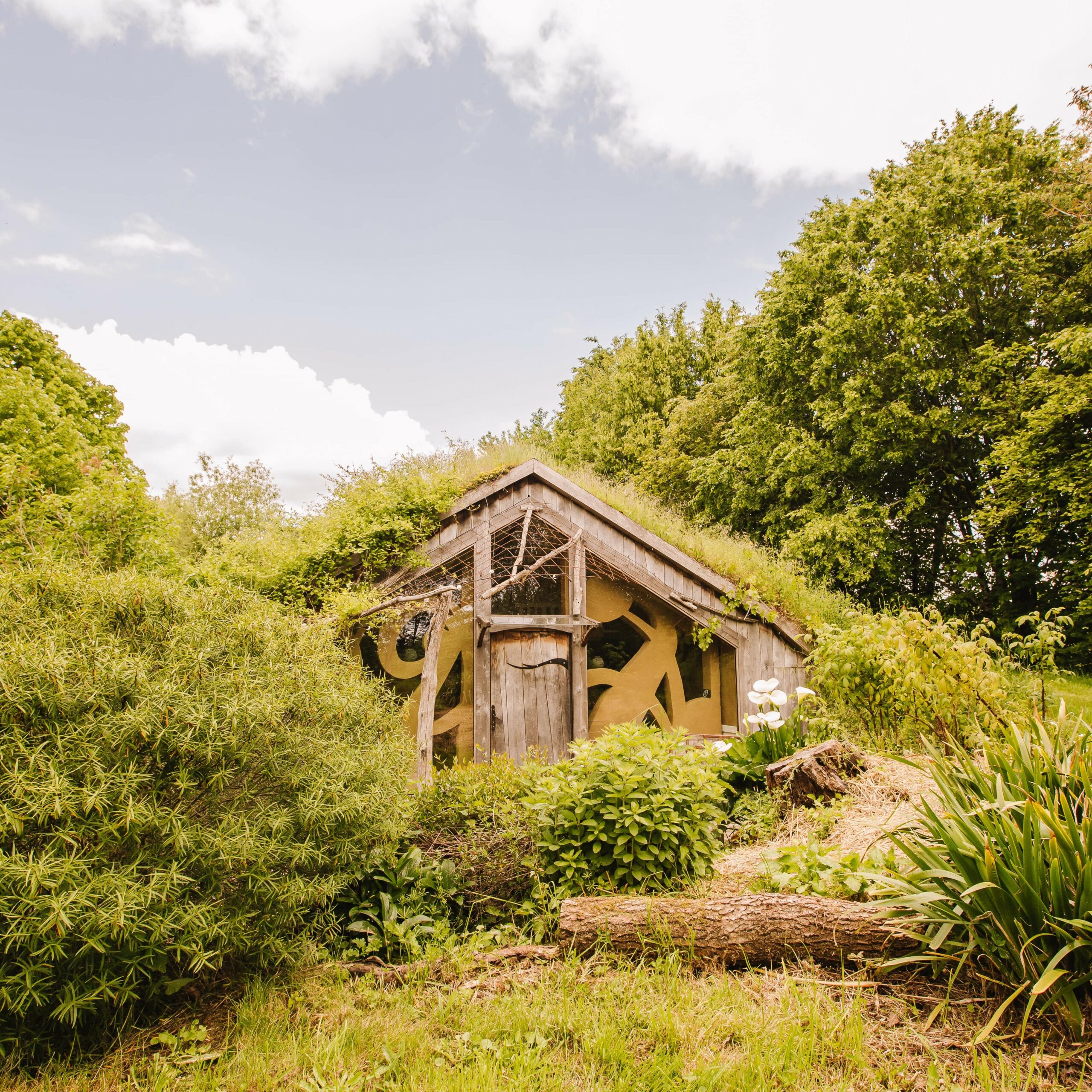 Ecolodges, gîtes ...